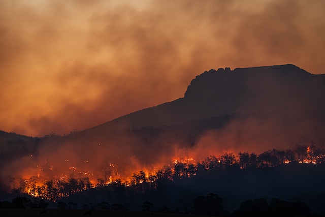 IPCC and UNFCCC supporting global climate change action