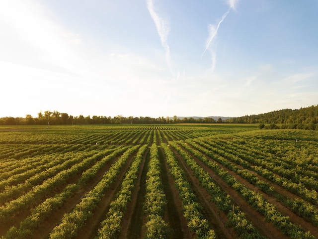 Sustainable agriculture promoting climate resilience